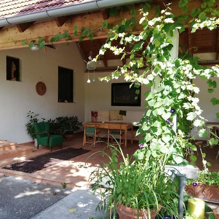 Anna'S Cosy Apartment Illmitz Zewnętrze zdjęcie