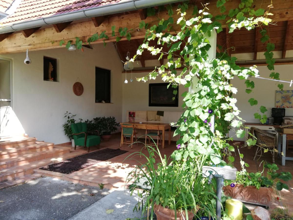 Anna'S Cosy Apartment Illmitz Zewnętrze zdjęcie
